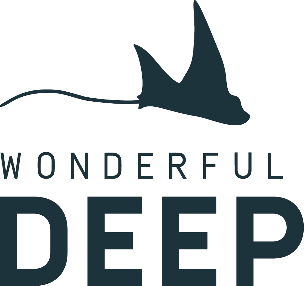Wonderful Deep